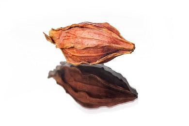 《明末：渊虚之羽》新试玩视频 续作或为开放世界